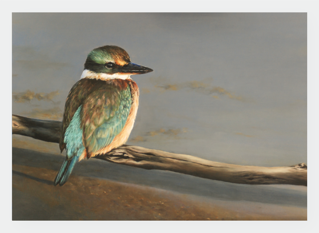FAMG08 Kingfisher