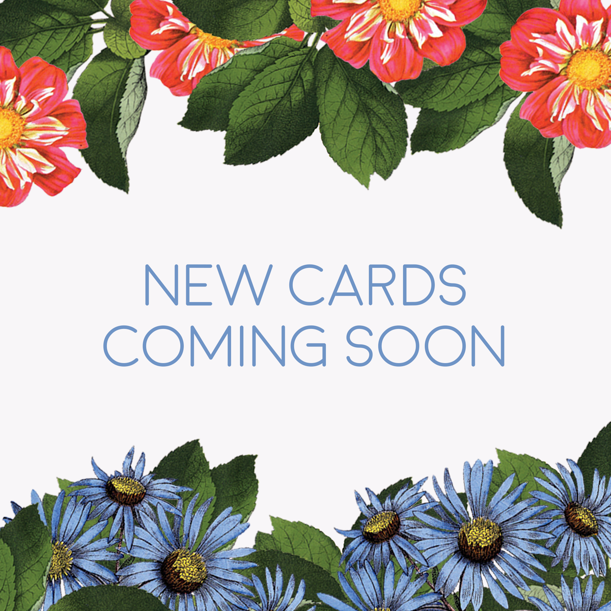 New cards coming soon