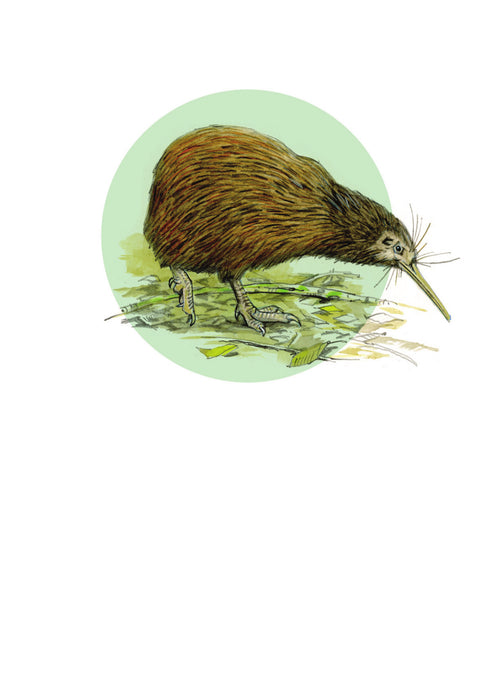 DB11 Kiwi