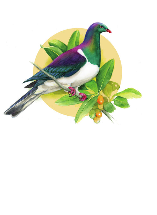DB20 Kereru