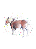DB21 Pony