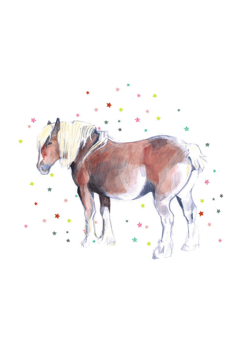 DB21 Pony