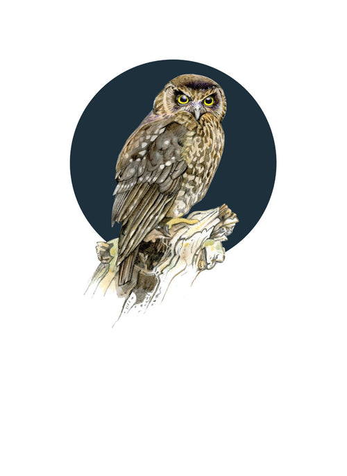 DB35 Morepork