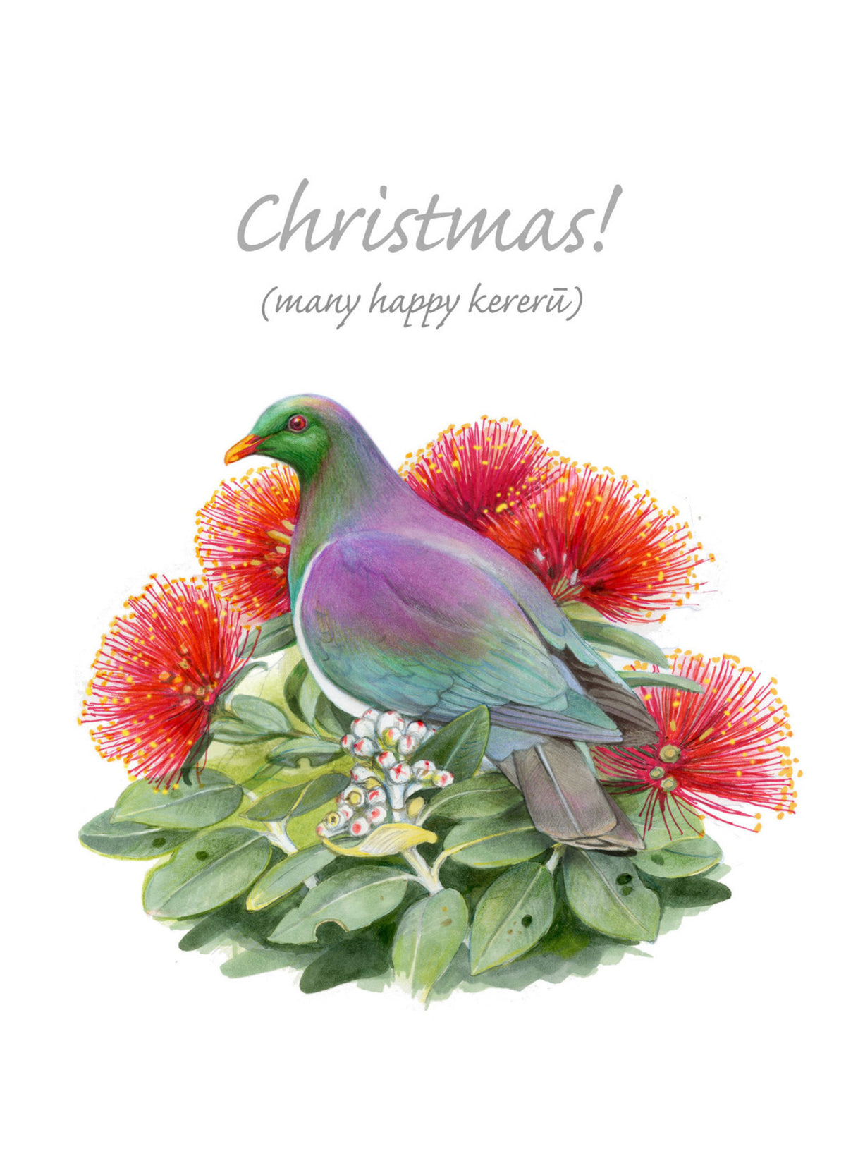 DB45 Christmas Kereru