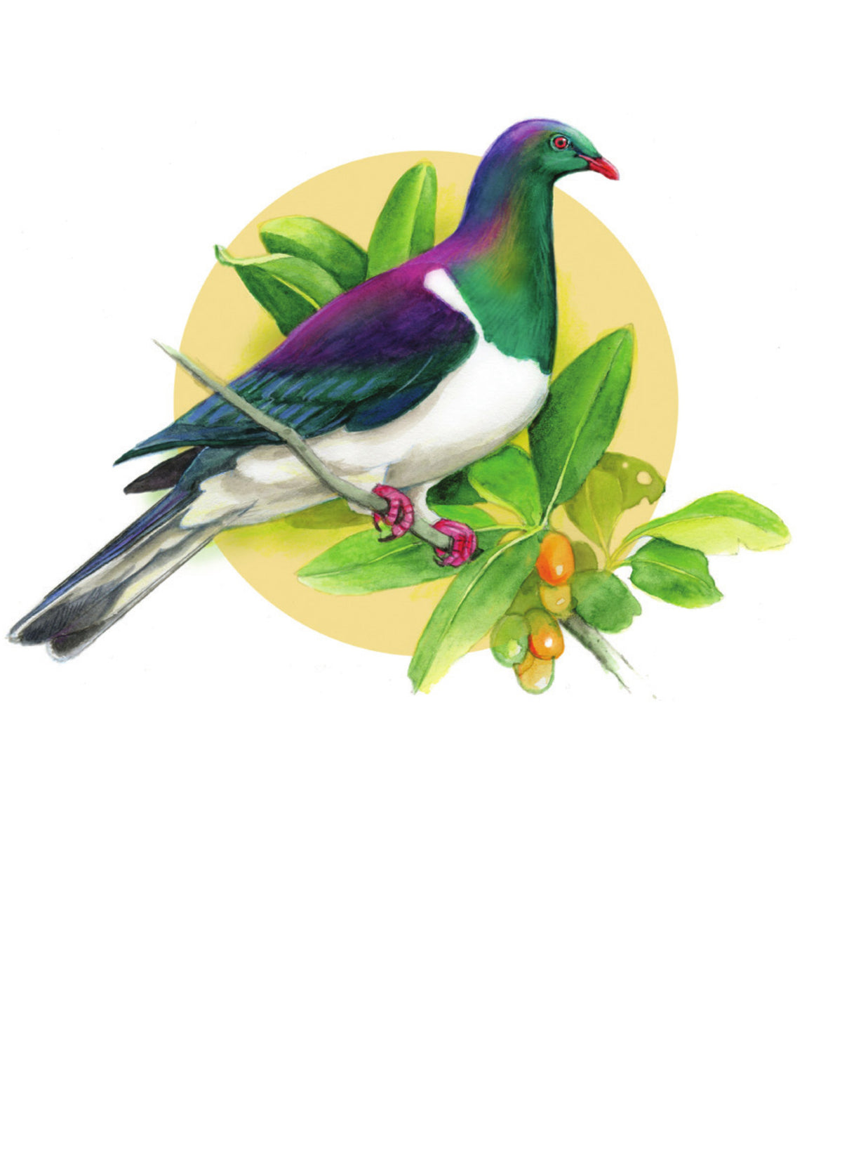 DBM19 Kereru