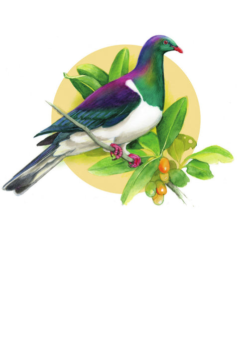 DBM19 Kereru