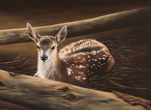 FAMG06 Fawn