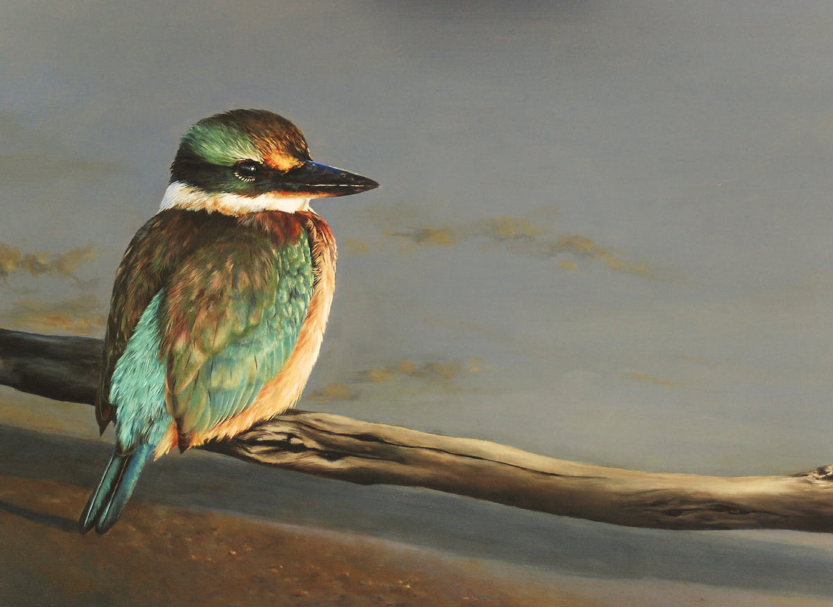 FAMG08 Kingfisher