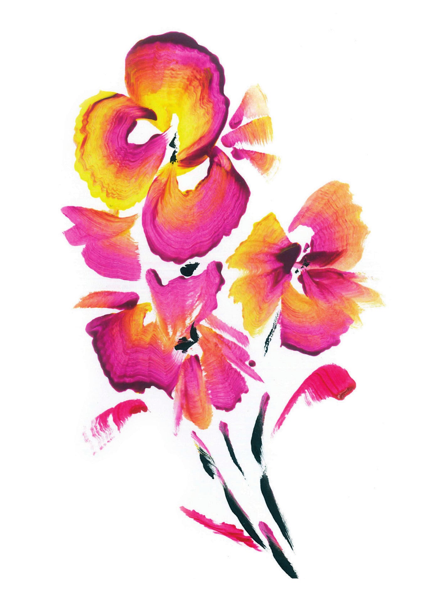 GC14 Flowers | Geoff Clements