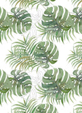JM13 Monstera