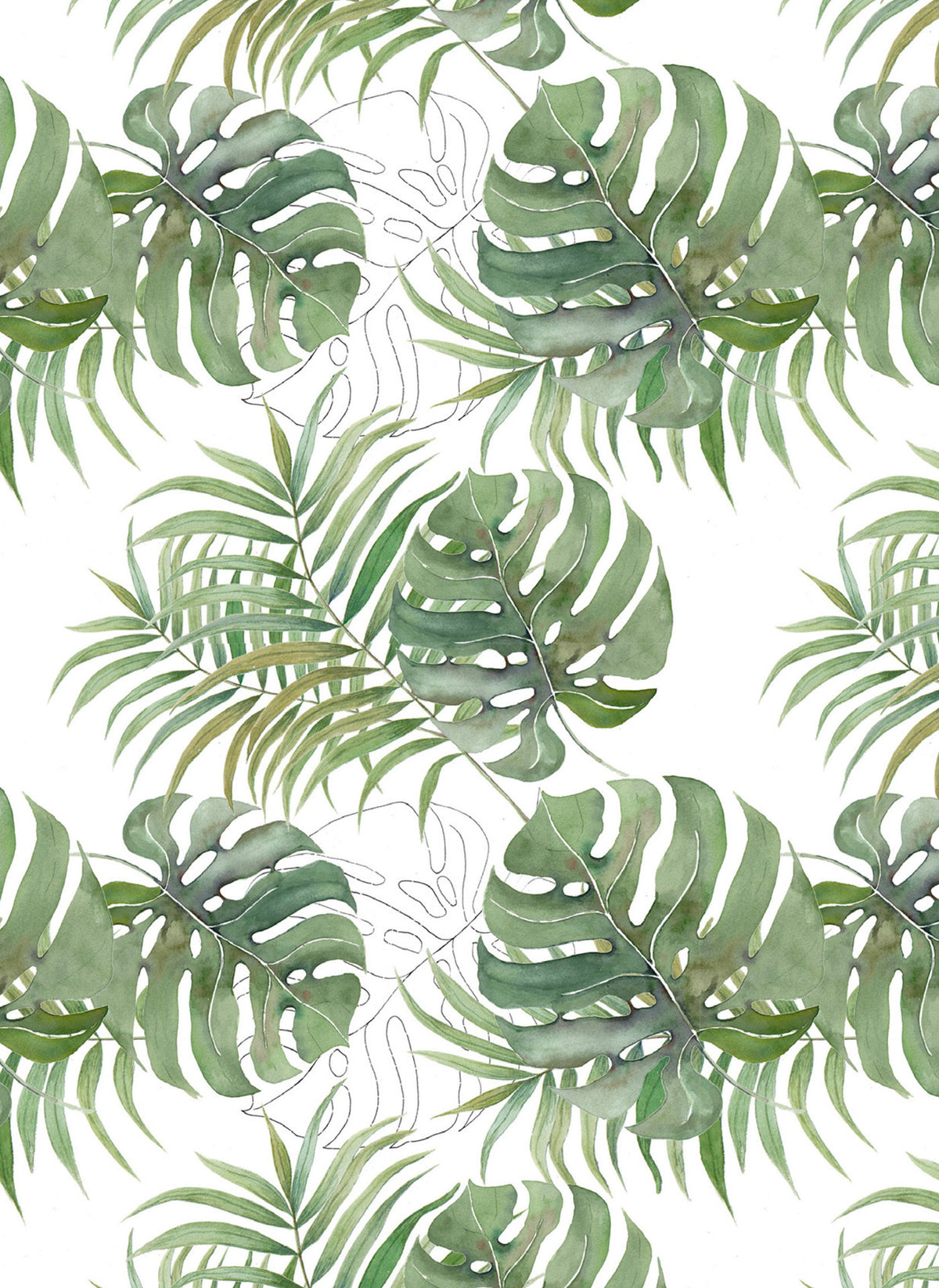 JM13 Monstera