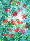 JM14 Pohutukawa