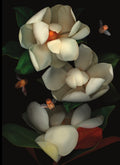 LH20 Magnolia