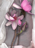 LH36 Pink Magnolia on Tissue