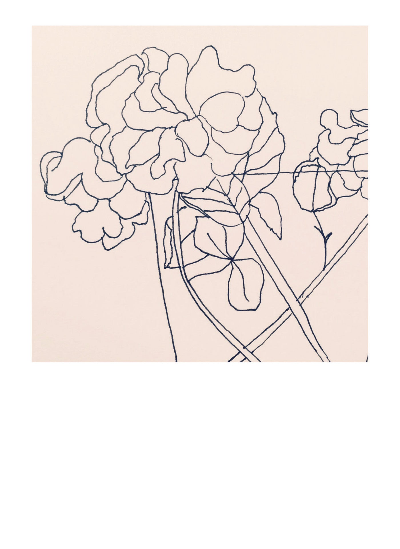 MC51 Pink flowers