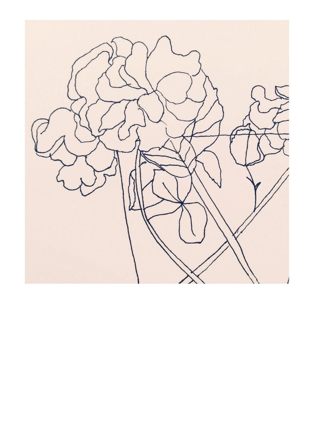 MC51 Pink flowers  (Pack of 6)