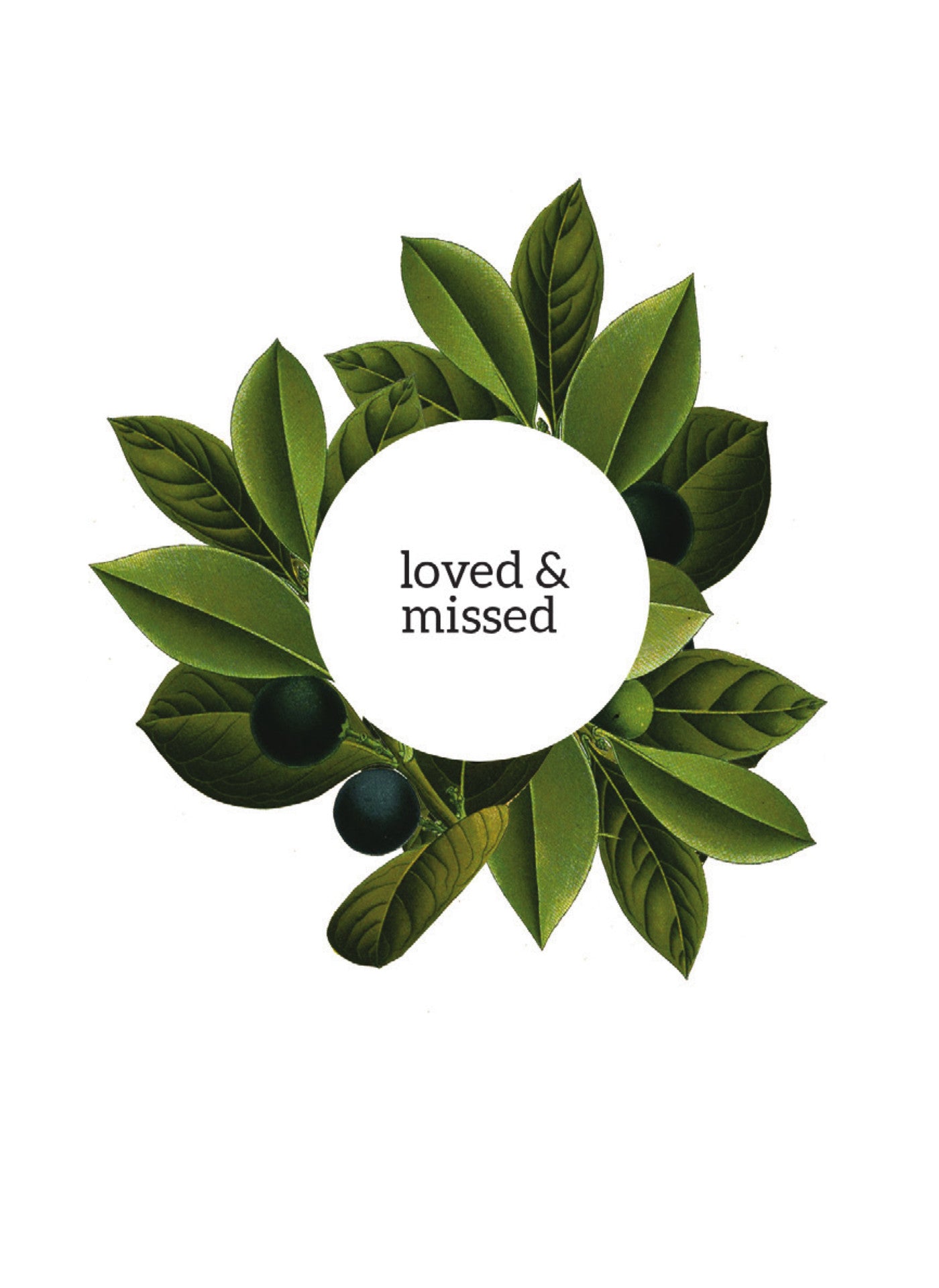 MC82 Loved & Missed