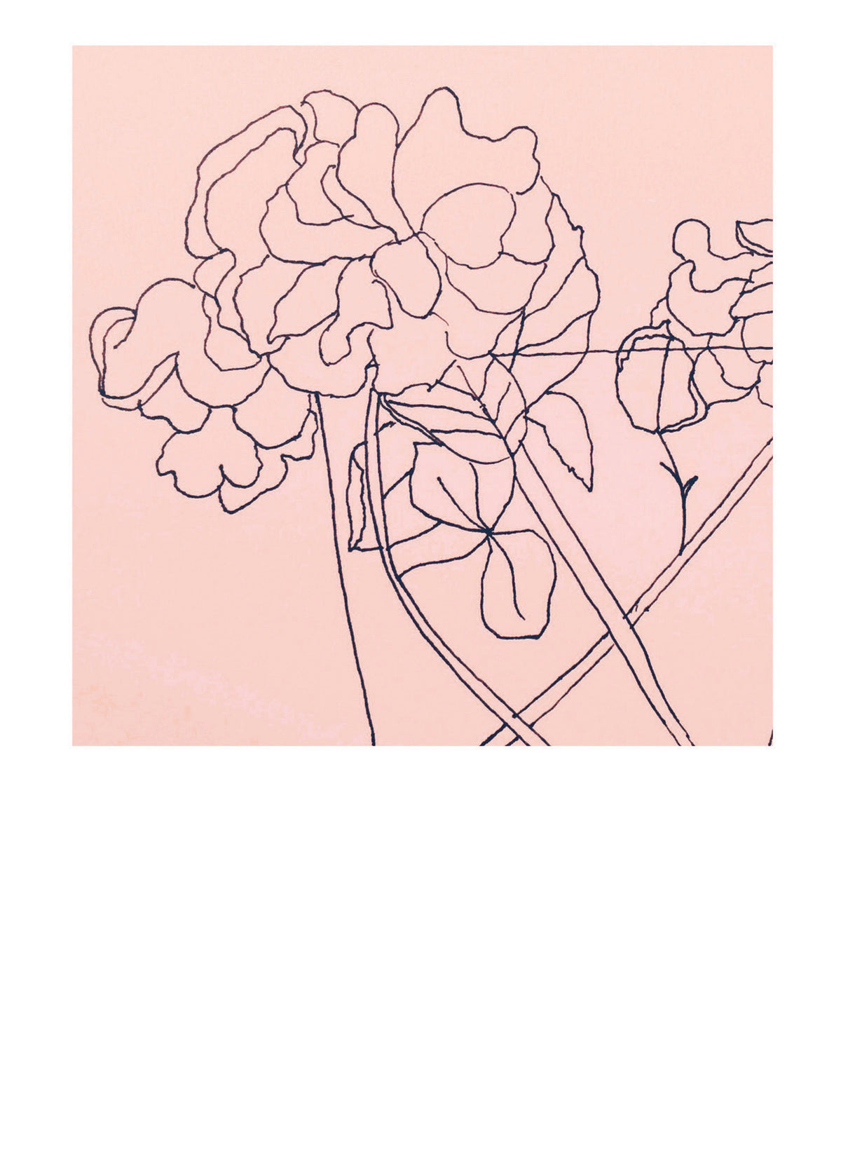 MM11 Flowers
