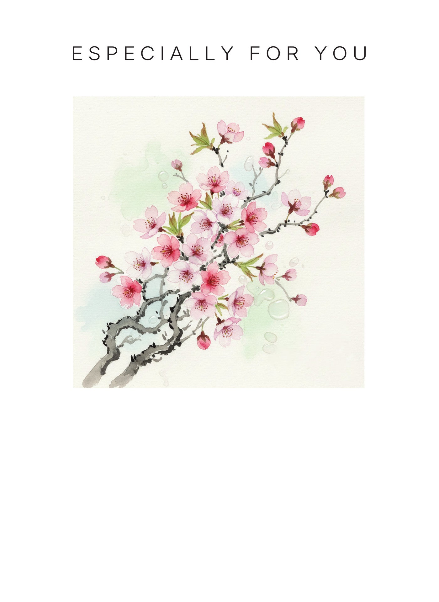 MM222 Especially for You