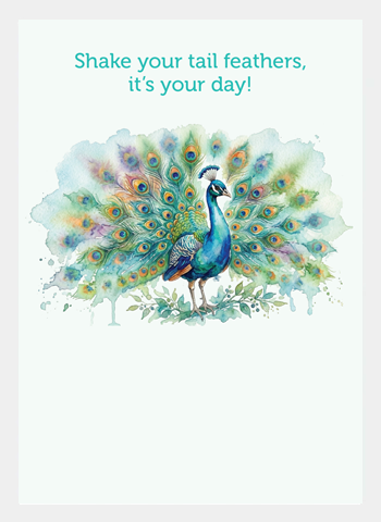 MM243 Shake Your Tail Feathers