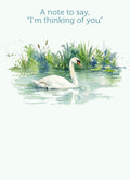 MM245 Thinking of You Swan
