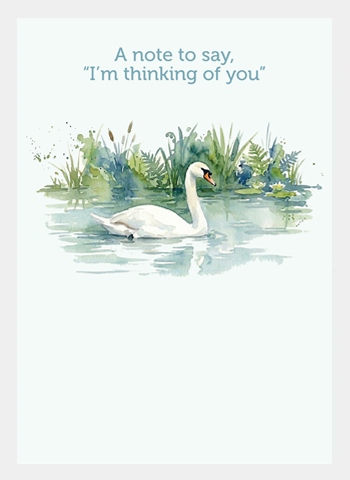 MM245 Thinking of You Swan