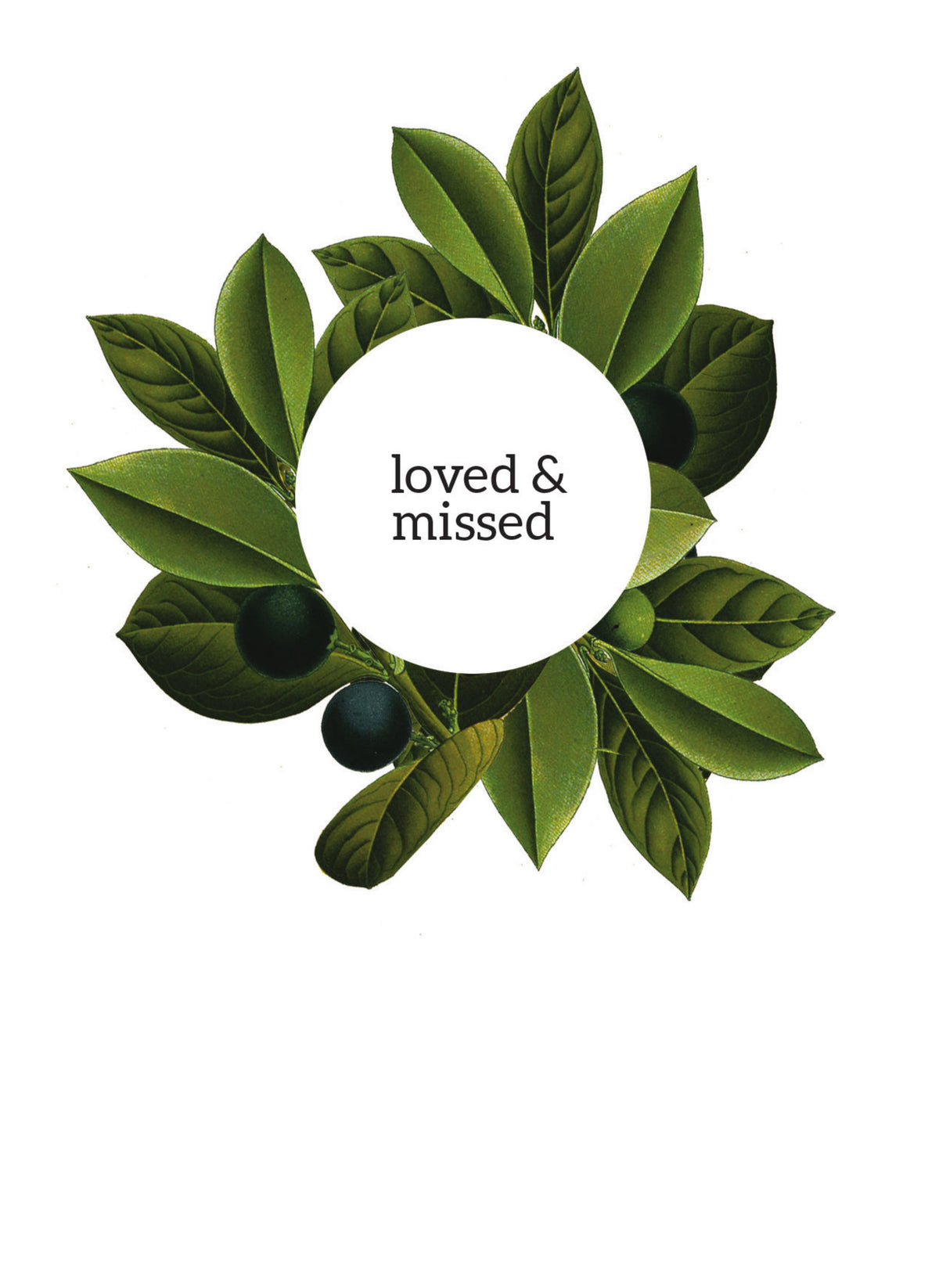 MM24 Loved & Missed (Pack of 6)