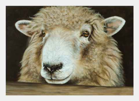 FAMG09 Sheep (Pack of 6)
